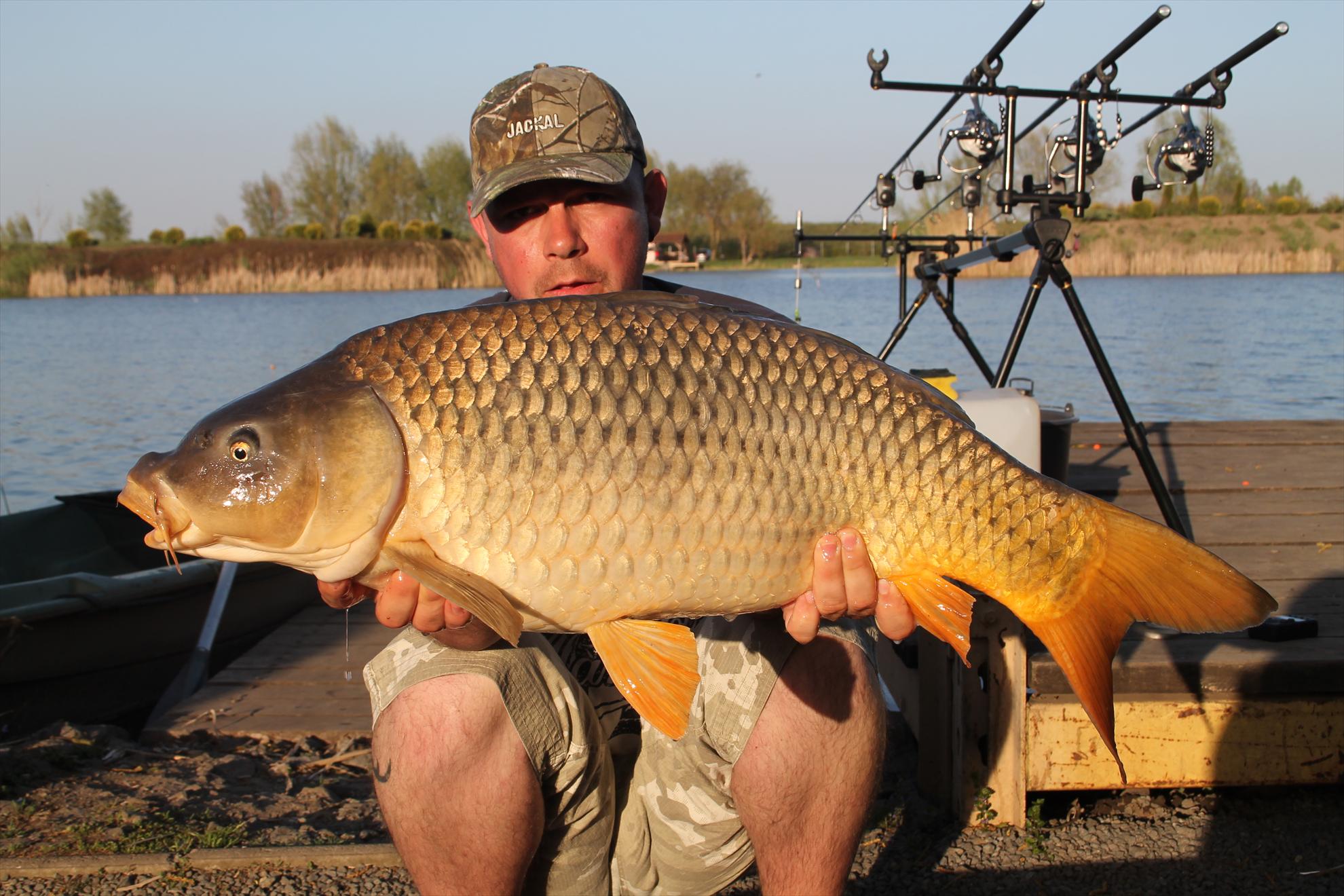 Nagykallo 2013 - nagykallo-aprilie2013-3321.JPG